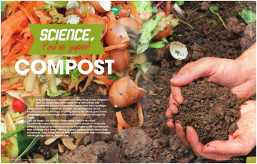Image of compost